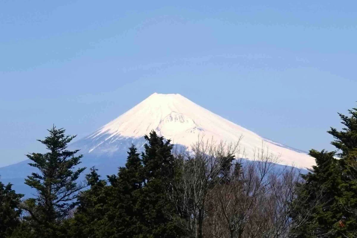 天城高原の別荘・リゾート物件エリア