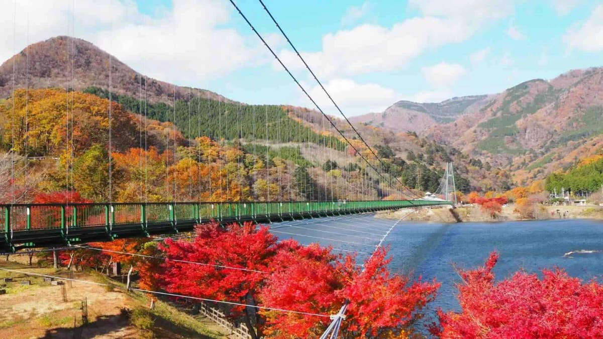 塩原の別荘・リゾート物件エリア