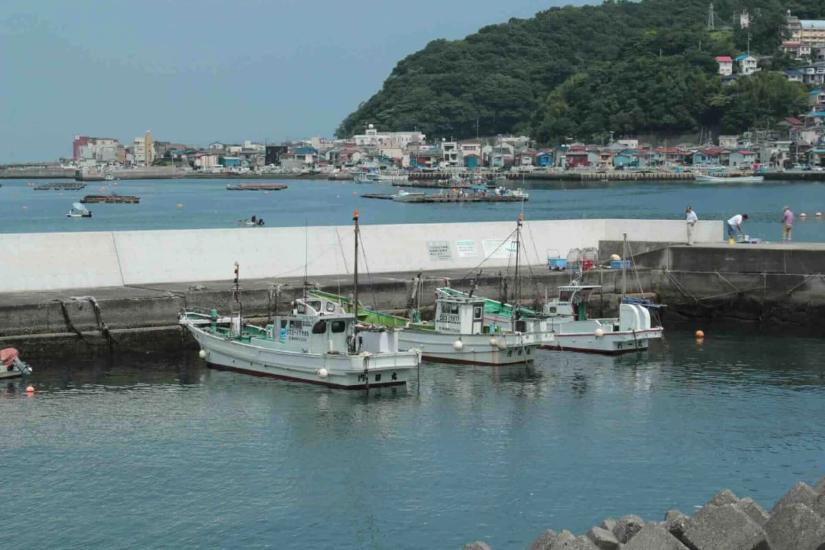 網代港