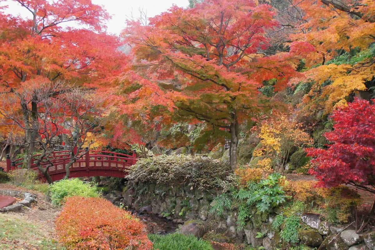 熱海梅園