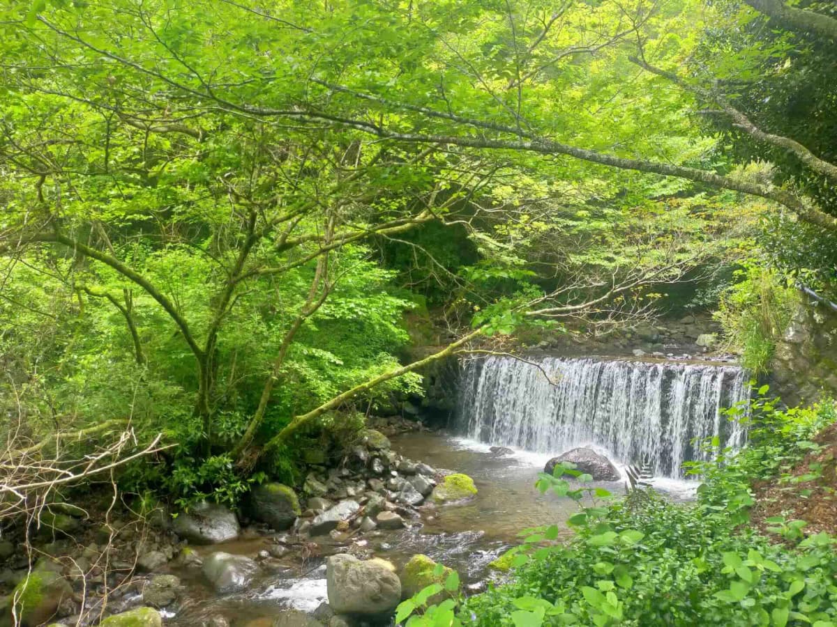 奥湯河原