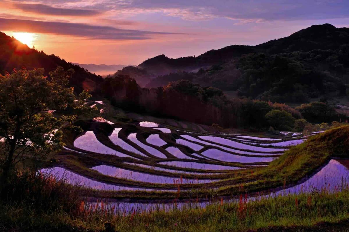 大山千枚田