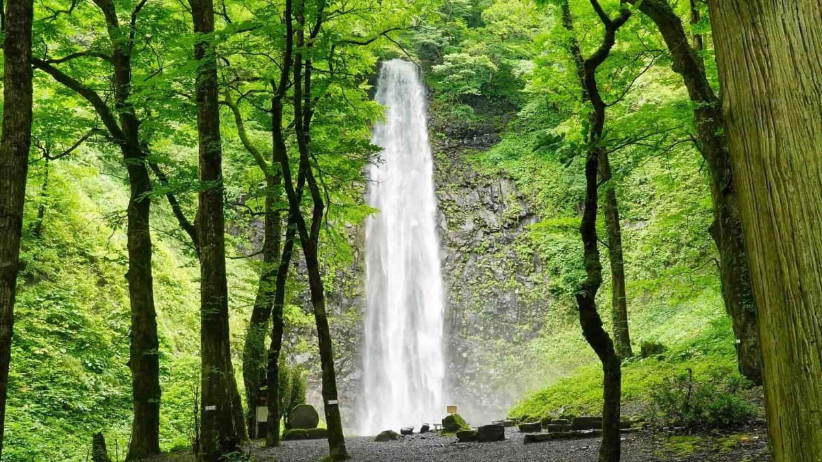 玉簾の滝
