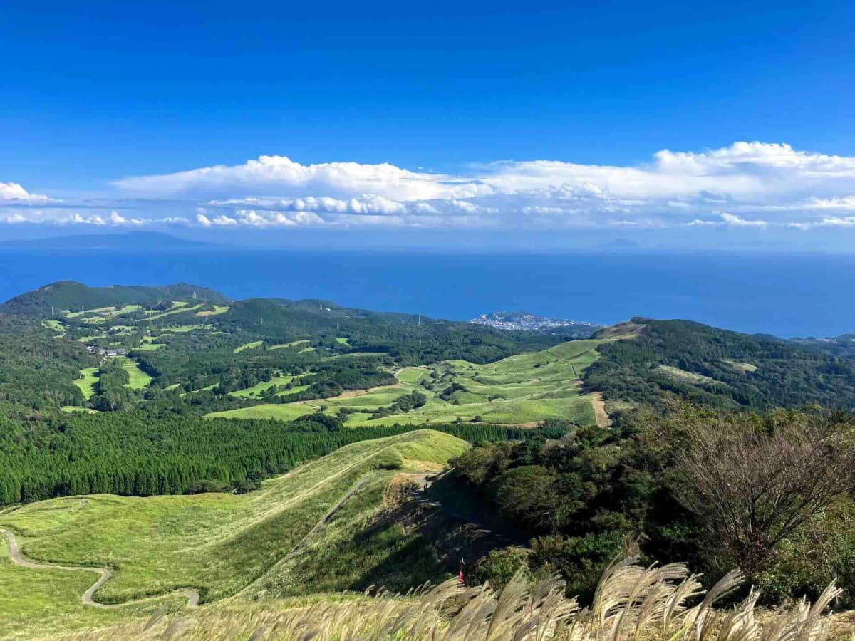 稲取細野高原