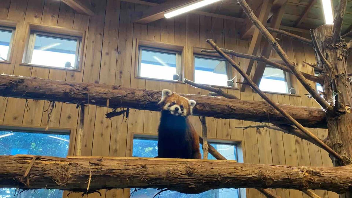 伊豆シャボテン動物公園