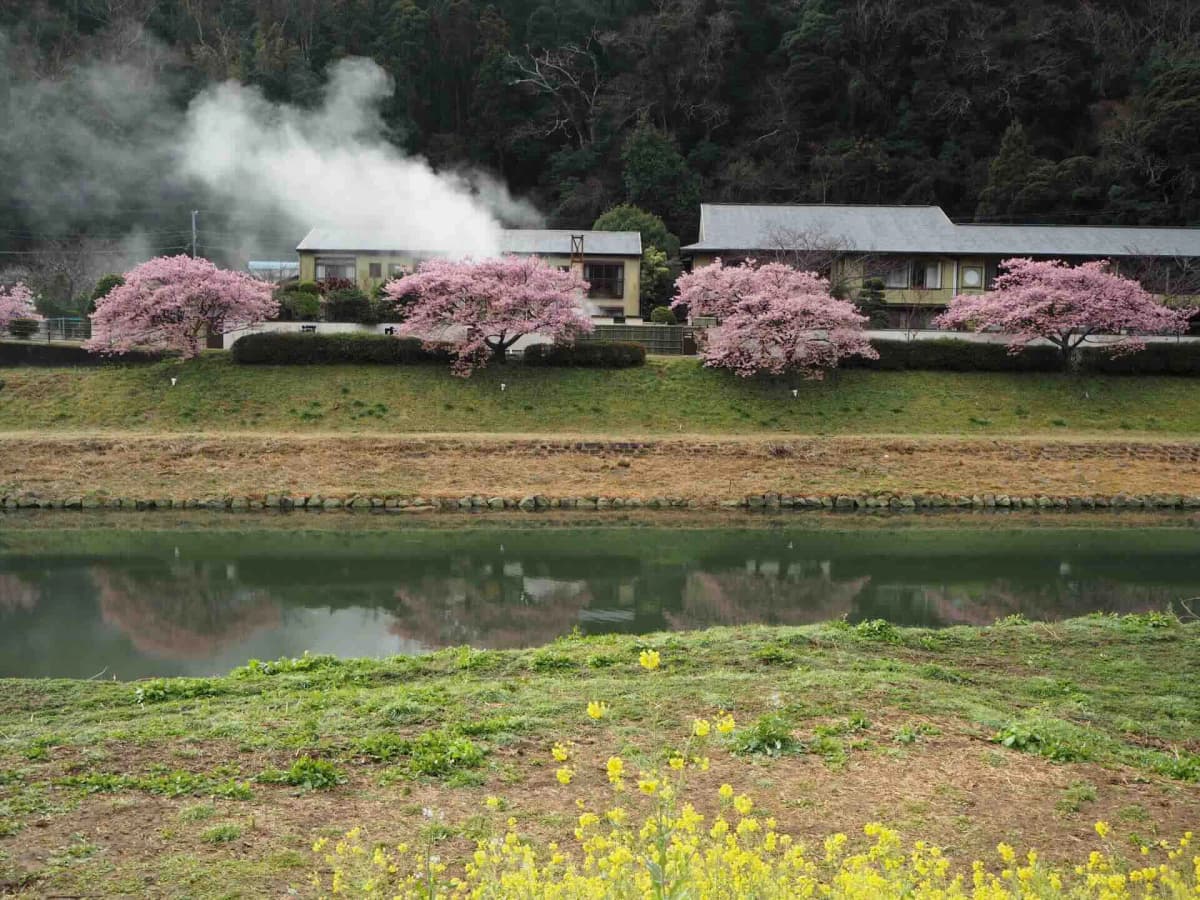下賀茂温泉