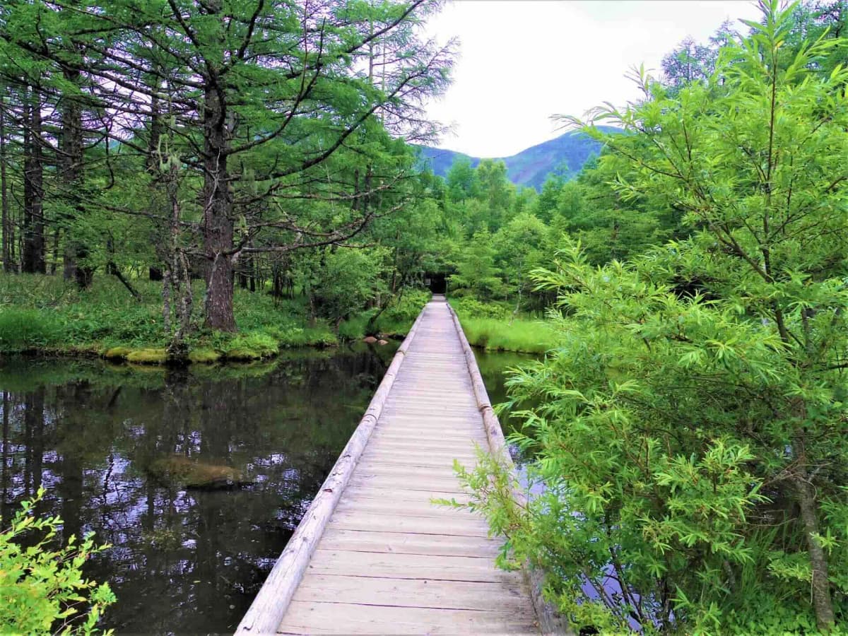 御泉水自然園