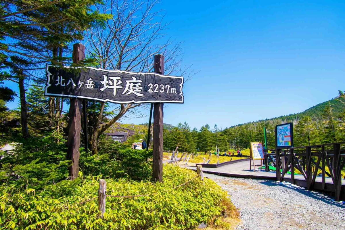 坪庭