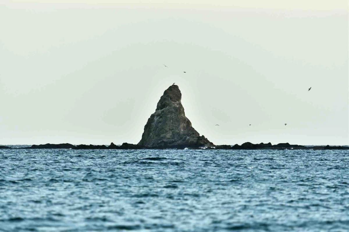 姥島