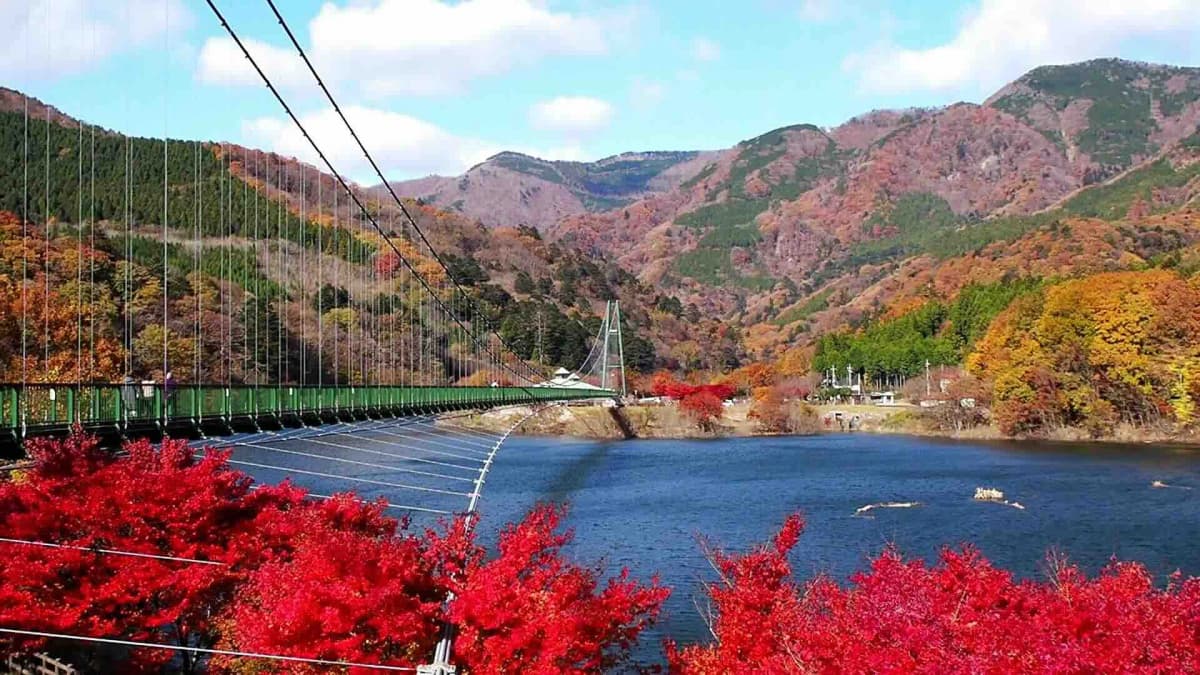もみじ谷大吊橋