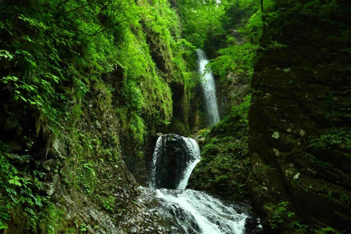 竜化の滝