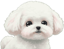 犬